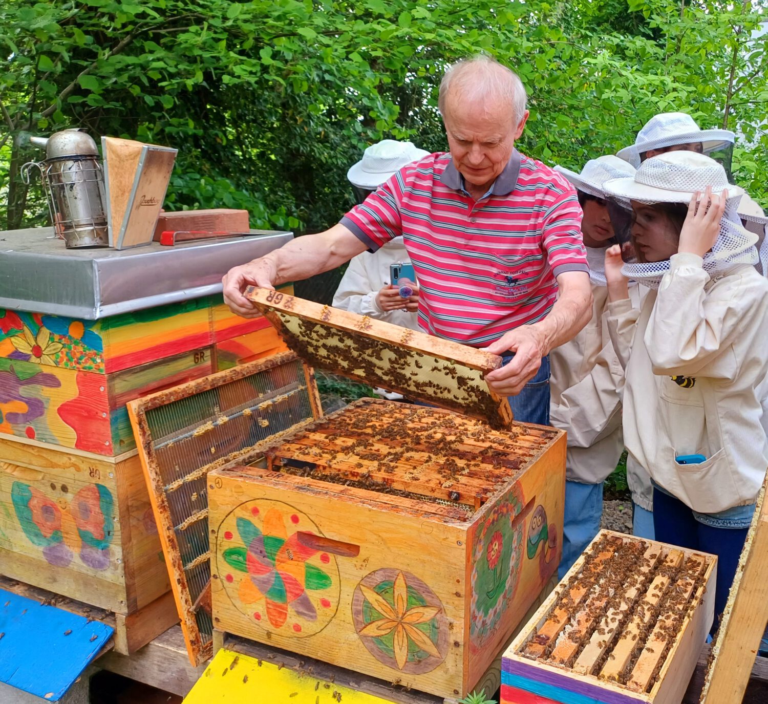 Kontrolle der friedlichen Bienenvölker