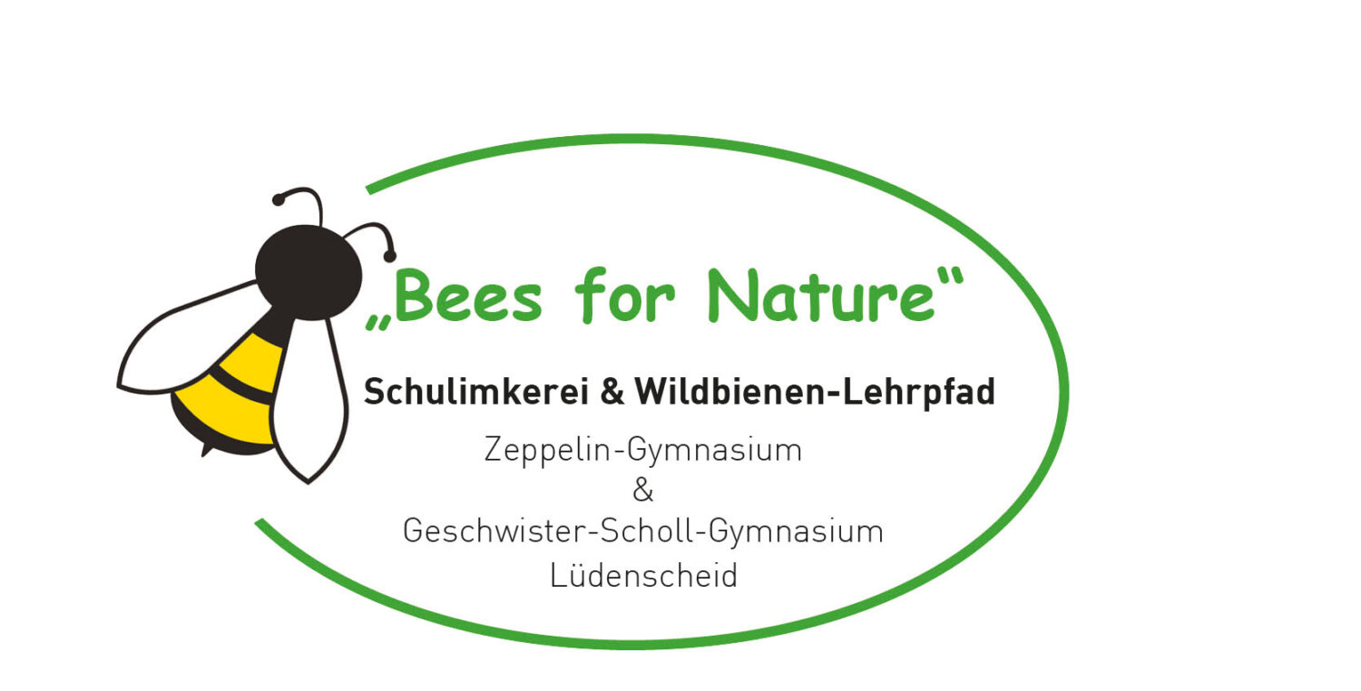 Logo Bees for Nature