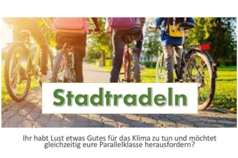 Infozettel