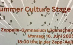 culture stage