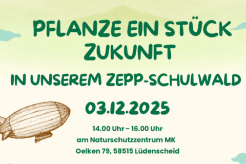 CF53BFAF-F897-4F91-B506-2AFD135EEBB5