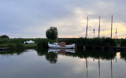 IMG_6785