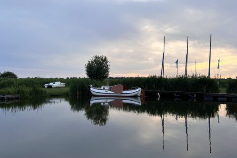 IMG_6785